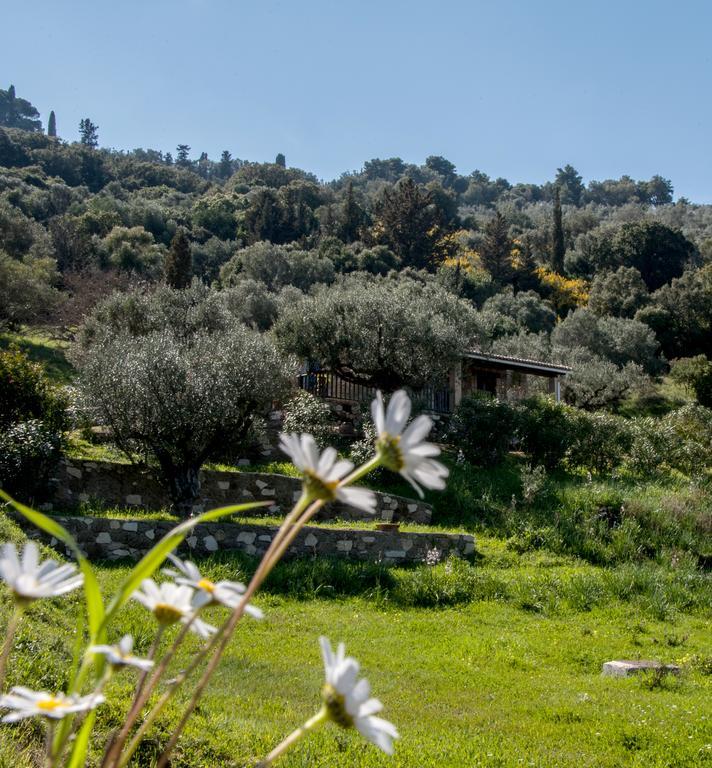 Villa Collina Vasilikí Kültér fotó